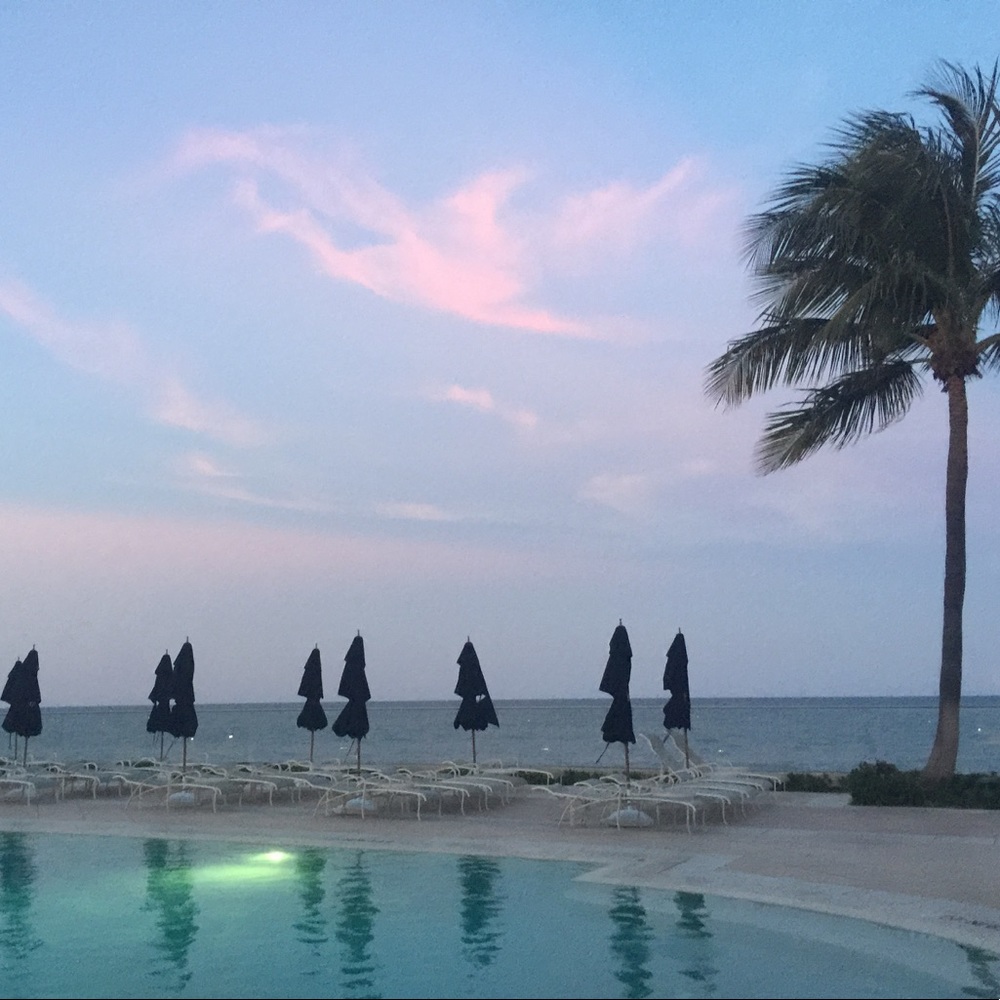 Meet your Posher, Malka